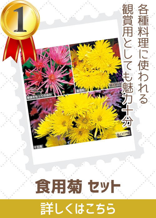 食用菊セット