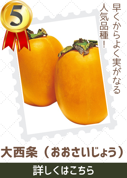大西条