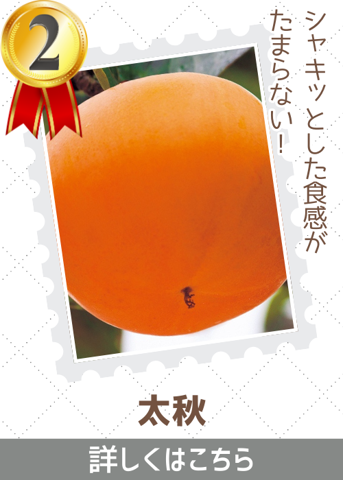 太秋