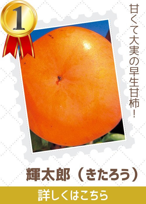 輝太郎