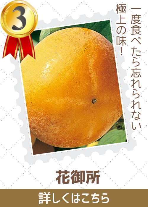 花御所