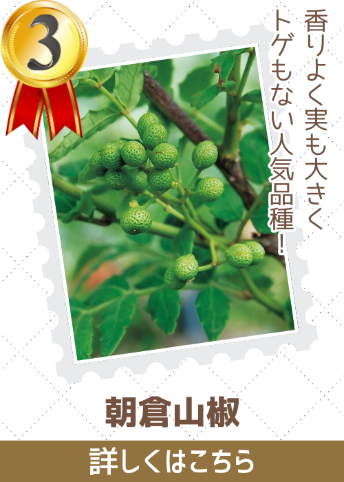朝倉山椒