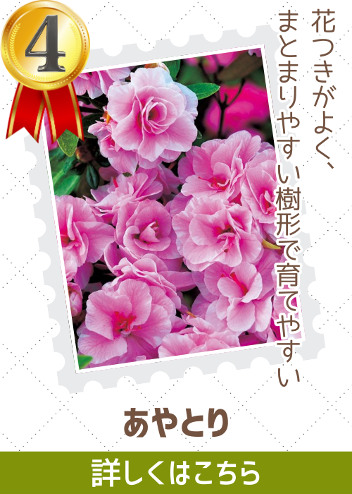 あやとり