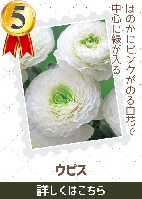 ウピス