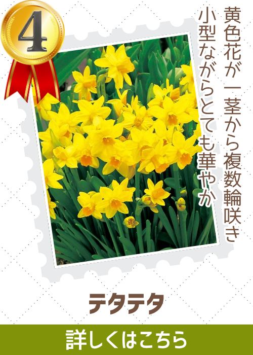 ティタテタ