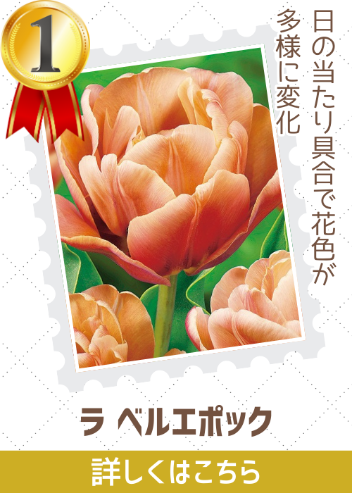 ベルエポック