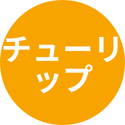 チューリップ