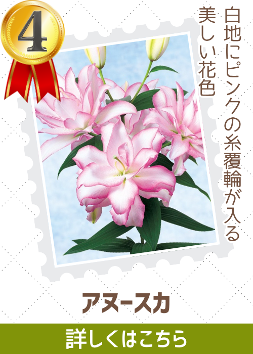 アヌースカ