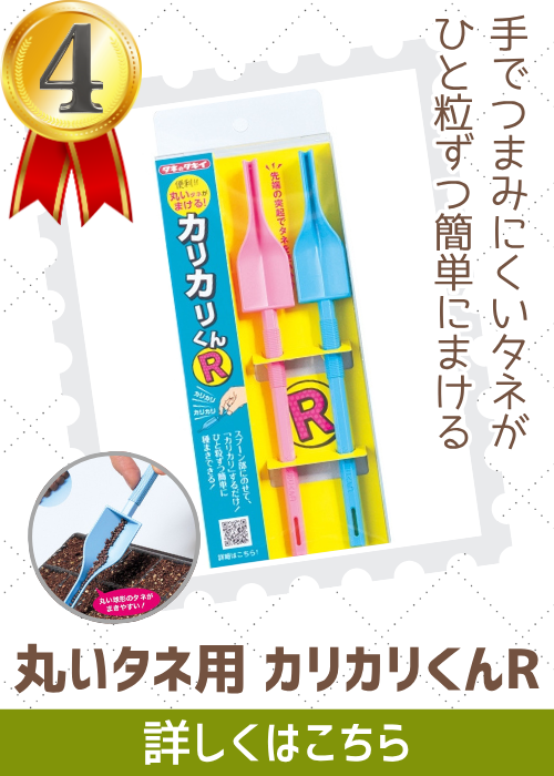 タキイカリカリくんＲ