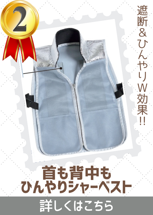 首背中ひんやりシャーベスト