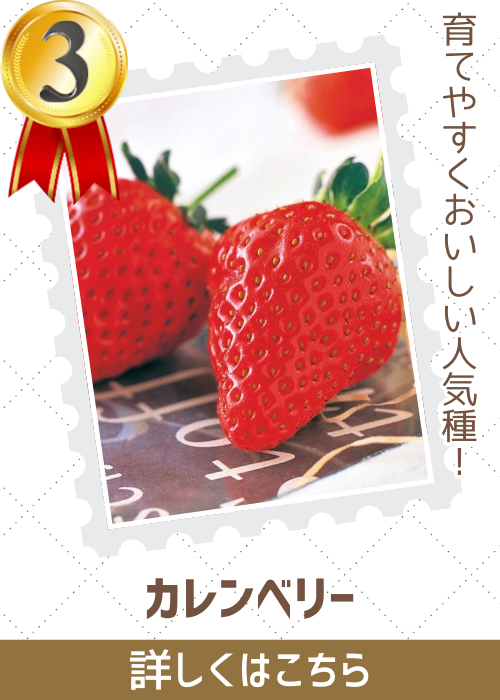 カレンベリー