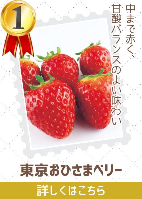 東京おひさまベリー