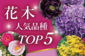 花木