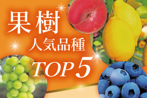 果樹