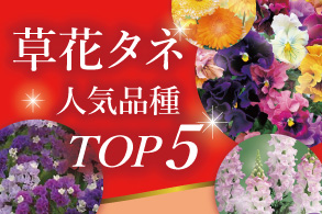 草花タネ
