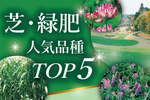 芝・緑肥