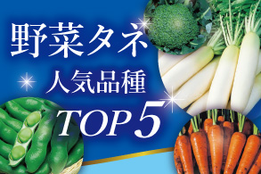 野菜タネ