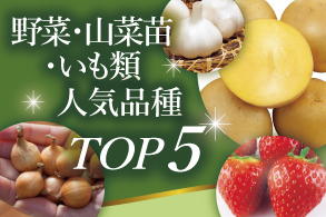 イチゴ・イモ類・有用