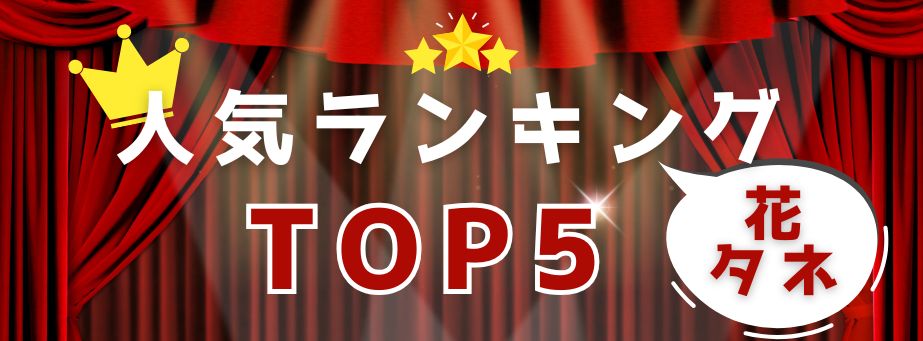 人気TOP5