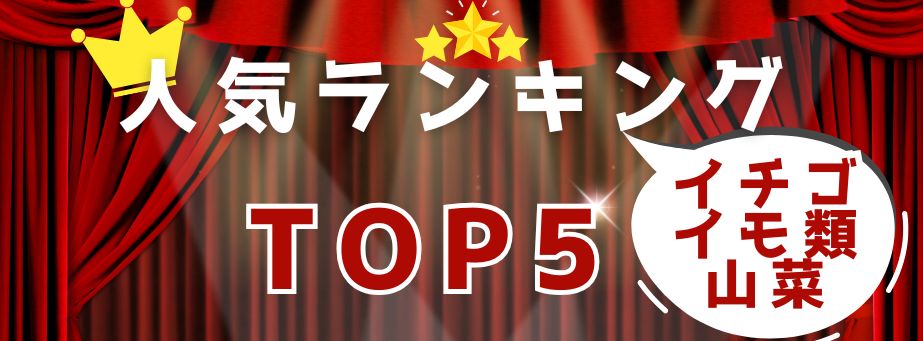 人気TOP5