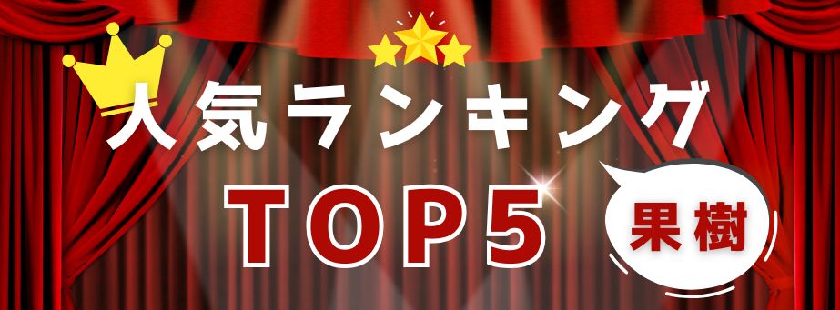 人気TOP5