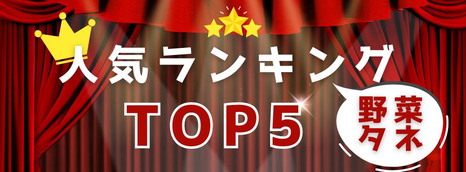 人気TOP5