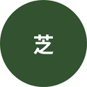 芝生