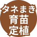 タネまき・育苗・定植資材