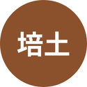 培土