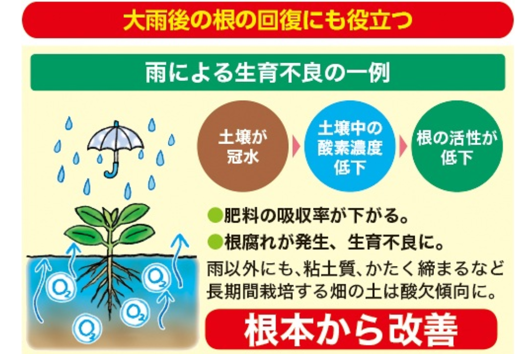 生育不良例