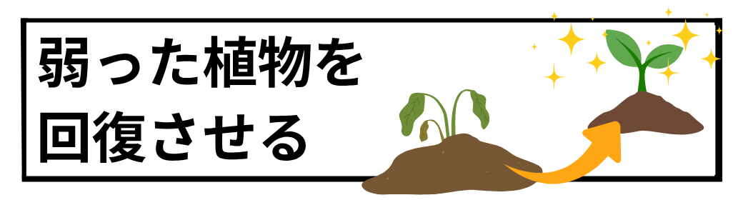 猛暑対策回復