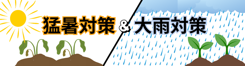 お悩み解決