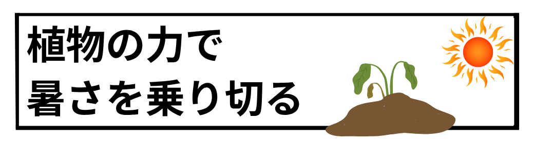 猛暑対策乗り切る