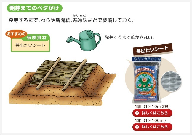 発芽までのベタがけ