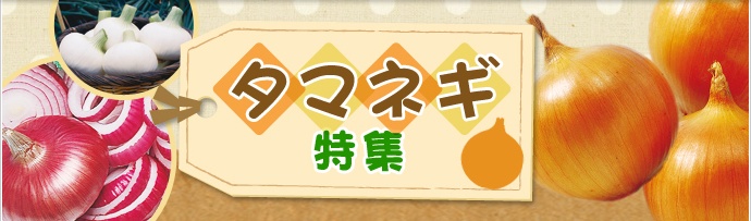 ^}lMuAgvWI͂⑼ߕiЉ