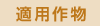 Kp앨