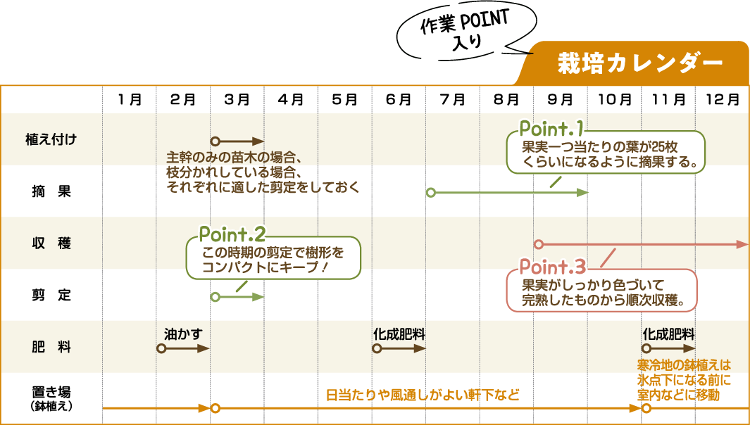 栽培カレンダー