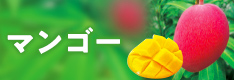 マンゴー