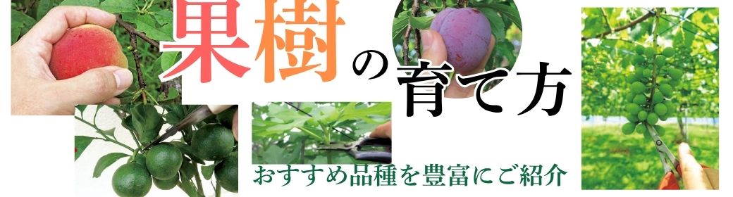 憧れのオーチャード(果樹園)を実現しようシリーズ