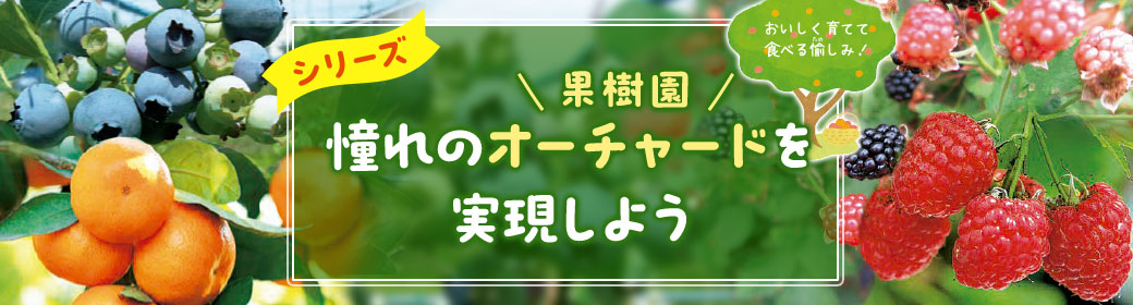 憧れのオーチャード(果樹園)を実現しようシリーズ