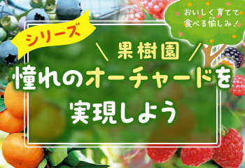憧れのオーチャード(果樹園)を実現しようシリーズ
