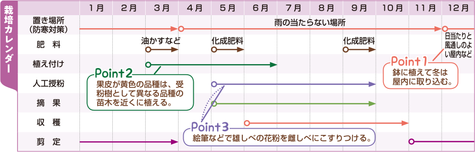 栽培カレンダー