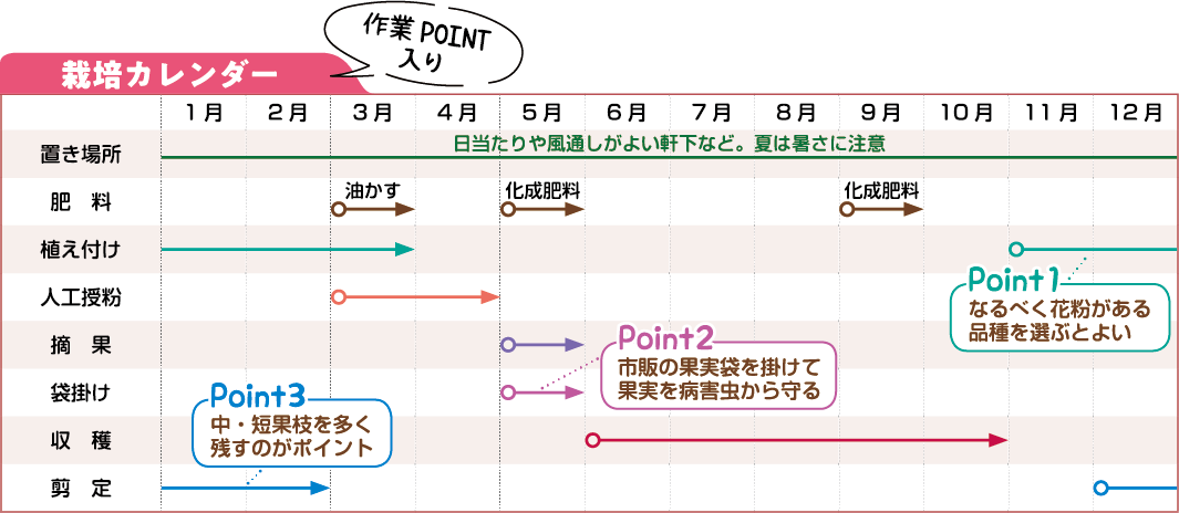 栽培カレンダー