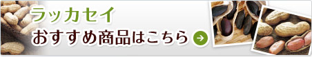 bJZC@ߏi͂