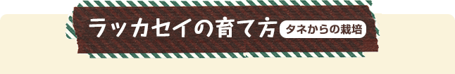 bJZC̈ĕ