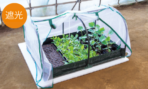 春夏の育苗に使えるメッシュ状のカバーで、モンシロチョウやヨトウガなどの侵入をシャットアウト！