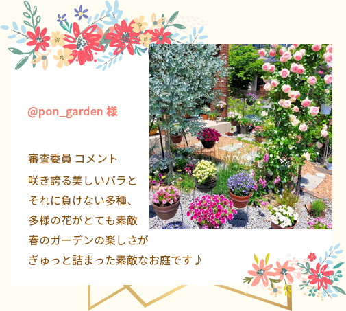 @pon_garden 様 審査委員 コメント 咲き誇る美しいバラとそれに負けない多種、多様の花がとても素敵春のガーデンの楽しさがぎゅっと詰まった素敵なお庭です♪