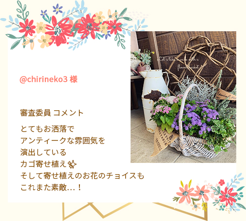 @chirineko3 様 審査委員 コメント とてもお洒落でアンティークな雰囲気を演出しているカゴ寄せ植え✨そして寄せ植えのお花のチョイスもこれまた素敵…！