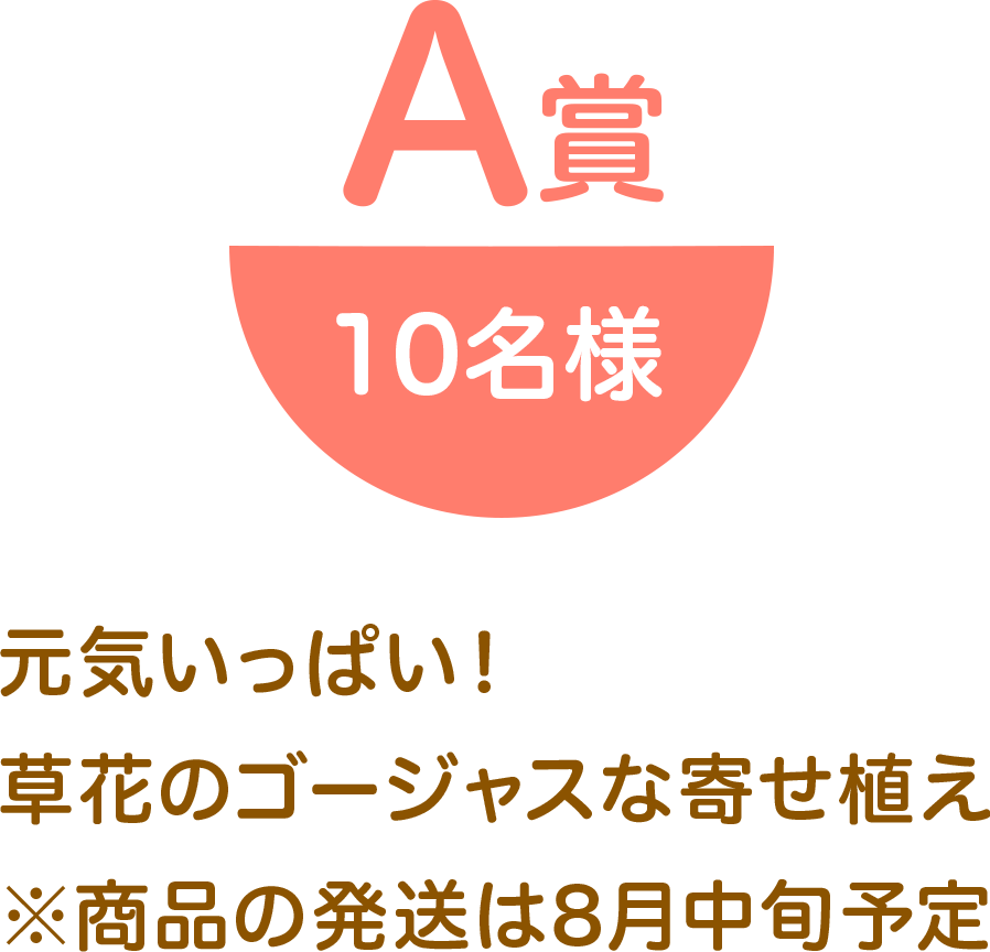 ●A賞 10名様 元気いっぱい！草花のゴージャスな寄せ植え※商品の発送は8月中旬予定