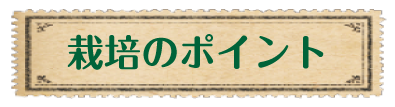 栽培のポイント